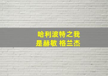 哈利波特之我是赫敏 格兰杰